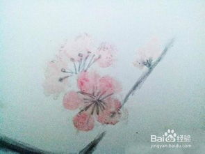 時(shí)光的痕跡 過期化妝品與文藝畫的詩意邂逅